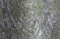 Llanfihangel Helygen fibreglass roof work